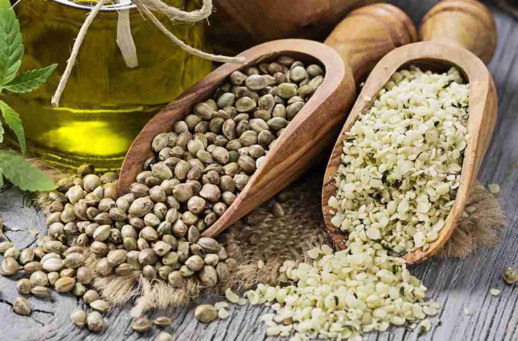 LA LEGGE ITALIANA E I SEMI DI MARIJUANA