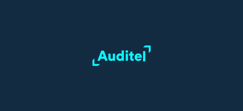 Auditel Ascolti TV 29 aprile 2025