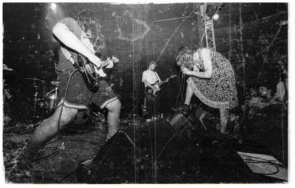 DITZ + MOTHER GIRAFFE live a Catania