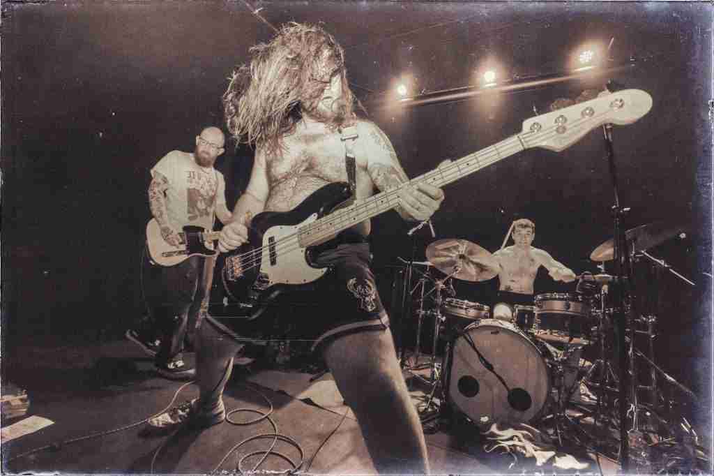 DITZ + MOTHER GIRAFFE live a Catania